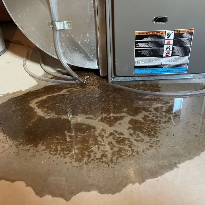 Pipe Burst and Leak Restoration in North York, PA
